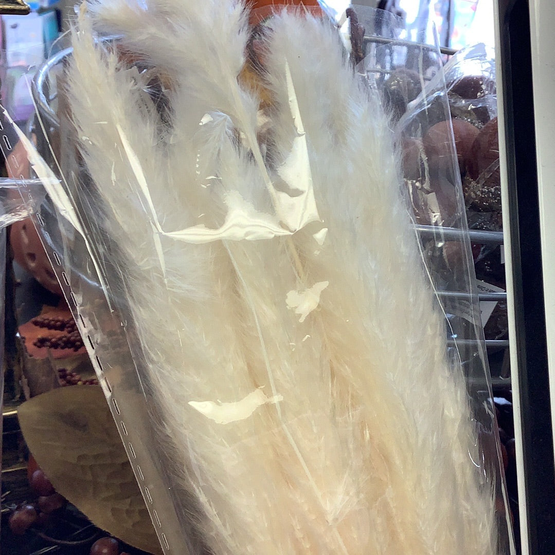 Feather dried flowers – Foxboro Fork in the Road & HBS Landscape Supplies